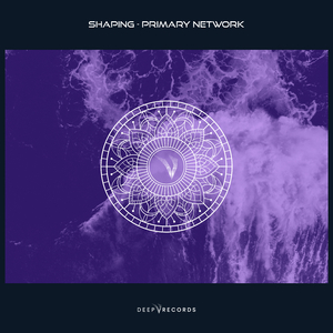 Primary Network (Extended Mix)