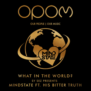 What In The World? (Main Mix)