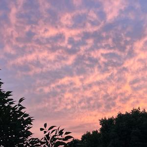 五分糖（Prod.NeonMusic）