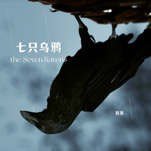 七只乌鸦