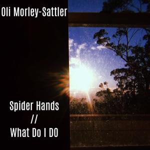 Spider Hands