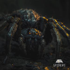 Spiders