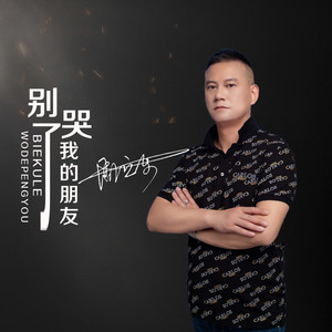 别哭了我的朋友 (DJ版)