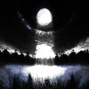 Into the Vortex (DEMO)