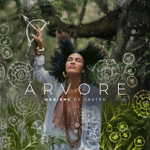 Árvore