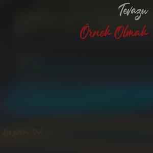 Örnek Olmak (Instrumental)