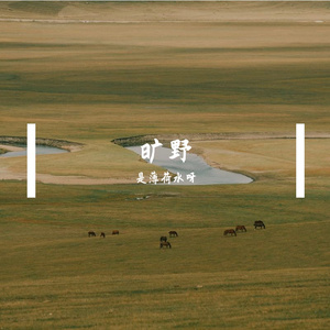 《那座白了头的大山》