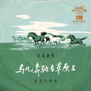 马儿奔驰在草原上