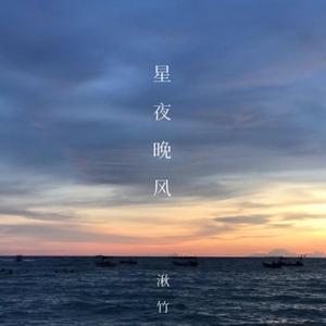星夜晚风