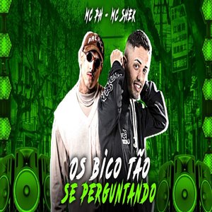 Os Bico Tão Se Perguntando (feat. MC PH) (Brega Funk)