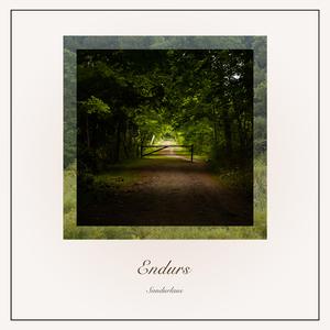 Endurs
