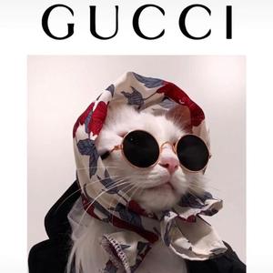 痛醒（很痛版）