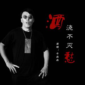 酒浇不灭愁
