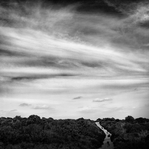 Enmig de la incertesa