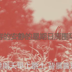 一尘不染轻松的周日印象数