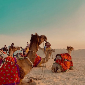 बाईसा देख्यो थाका बिंद ने भोज बना का डेरा बाग में