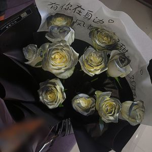 所见皆是青山绿水（BGM版)