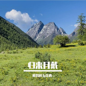 归来月戴