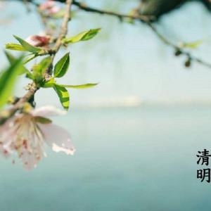 伍佰-挪威的森林（丝竹情声 remix）