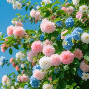 皆是你（钢琴曲）