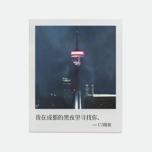 我在成都的黑夜里寻找你