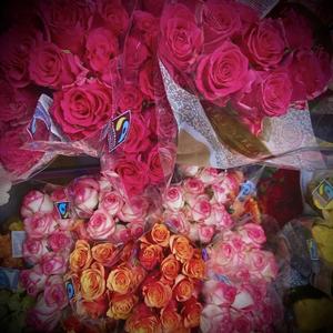 beg (feat. angelsrvng)