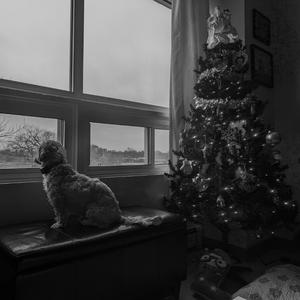 Christmas Time (take 2)