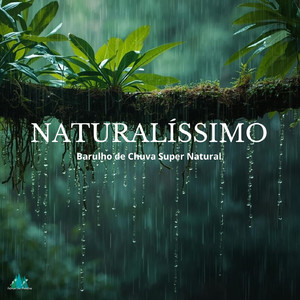 Som de Chuva Naturalisima (P35)