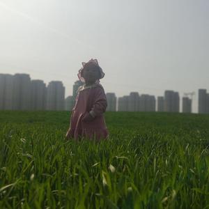 随手
