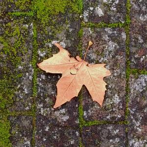 Puntos Suspensivos (feat. Fred Irie)