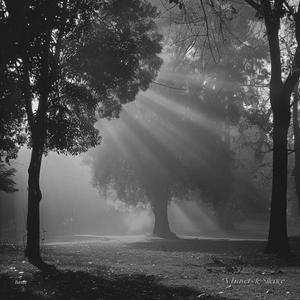 À Travers le Silence