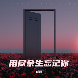 用尽余生忘记你
