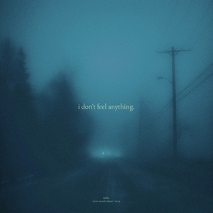 i don't feel anything