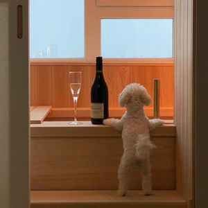 샤워 후 난장판이 된 거실