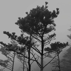 快离开（prod.EVO MUSIC）