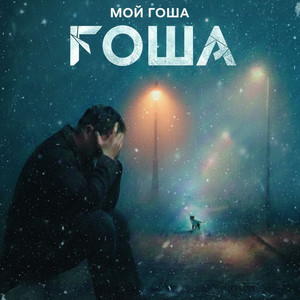 Мой гоша