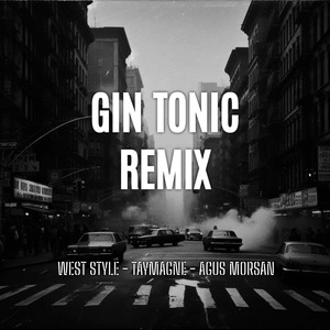 Gin Tonic (Remix)