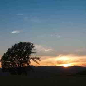 一朝风月 (单簧管)