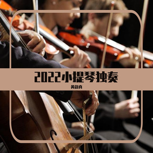 匆匆那年-小提琴