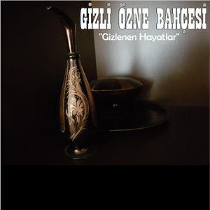 Gizlenen Hayatlar