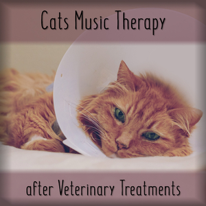 Relaxing Cat Music