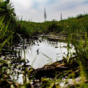 “疾风知劲草” // 内蒙古风民族afro beat