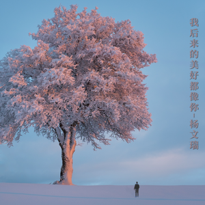 我后来的美好都像你