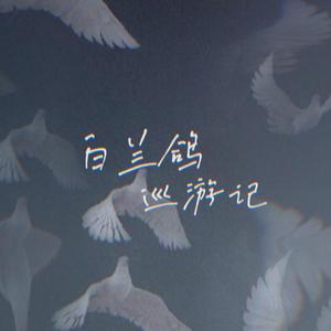 白兰鸽巡游记（翻自 丢火车乐队）