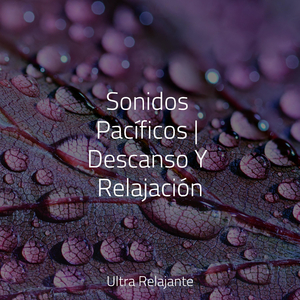 Calma Y Delicadeza