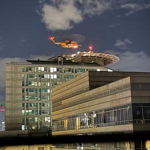 brotherhood of warriors (Rap)