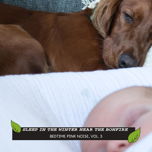 Enlightened New York Oceans