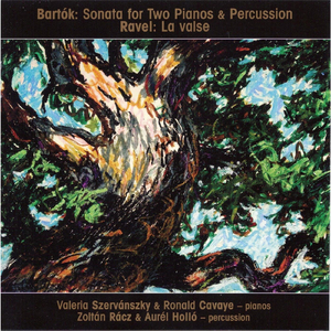 Sonata for 2 Pianos and Percussion, Sz. 110: 3. Allegro non troppo