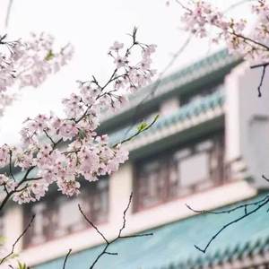 望春风【二胡二重奏】