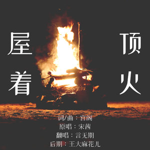 屋顶着火（猛虎撒娇版）（翻自 宋茜）